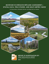 Montane Ecoregion Wetland Assessment—Spatial Data, Field Studies, and Multi-Metric Index (RI-291)